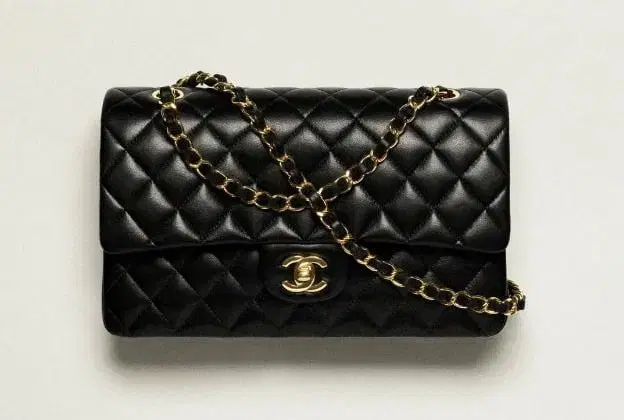 Chanel Clutch Bag